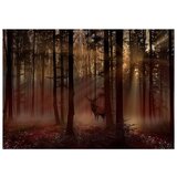  Tapeta - Mystical Forest - First Variant 100x70 | shoptok.hr