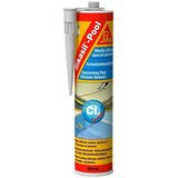 Sika Silikon za bazen (Bijele boje, 300 ml) Cijene