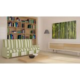  Slika - Green bamboo 60x40 | shoptok.hr
