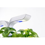  Veritable® SMART Arctic White Kučni Vrt | shoptok.hr