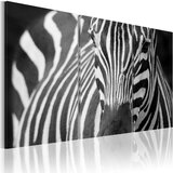  Slika - Mrs. Zebra 90x60 Cijene