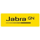 Jabra slušalke Evolve2 30 usb-a ms stereo, črne | Shoptok.si