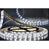 Mitea Lighting MLD-5050-60 6500K (dnevna svetlost) led traka 5m 12V 14,4W 60 LED/1m IP65 | Eponuda.com