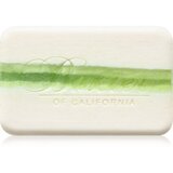 Baxter Of California Lime & Pomegranate kremasto milo za prhanje 198 g | Shoptok.si