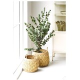 House Nordic Posude za cvijeće u setu 2 kom od morske trave ø 38,5 cm Strahan – | shoptok.hr