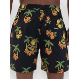 Hurley Cannonball Volley 17" Boardshorts black 6 | Shoptok.si