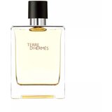 Hermes Terre D'Edt 100ml | ePonuda.com
