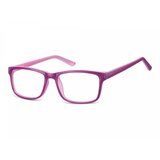 Berkeley naočare za kompjuter CP155 E | ePonuda.com