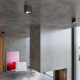  Stropna svetilka BLAKE črna, (21347536) | Shoptok.si