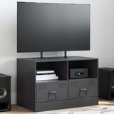 vidaXL TV omarica črna 67x39x44 cm jeklo Cene