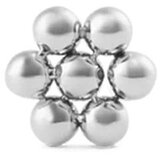 Daniel Wellington dw00400873 micro flower stud earring Cene
