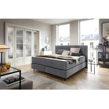 Premium Living Postelja Z Vzmetnico Dream, Temno Siva, 160x200 Cene