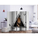 Artgeist Paravan Wild Abstraction I, 5-Delni, Dvostranski | Shoptok.si