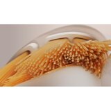 Philips ZAMJENSKE GLAVE ČETKICE ZA ZUBE HX9092/87, (8720689036733) | shoptok.hr