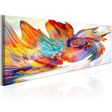  Slika - Colourful Cyclone 135x45 Cijene