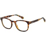 Polaroid PLDD453 086 L (52) Havana/Kristalna Cene
