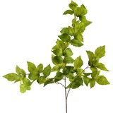 Mondex Umetna veja plastika Viridis 100cm zelena 1pc, (5000329487) | Shoptok.si