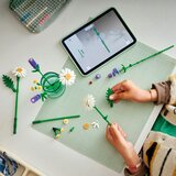 Lego botanical collection - bele rade (11508) | Eponuda.com