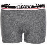 Edoti Men's boxer shorts | shoptok.hr