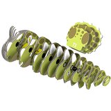 Eugy 3D Slagalica Triceratops | Eponuda.com