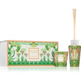 Baobab Collection My First Baobab Tomorrowland darilni set | Shoptok.si