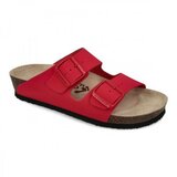 Grubin Arizona ženska papuča crvena 42 33550 ( A070101 ) Cene