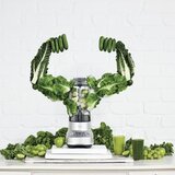 Sage blender SBL620SIL | Shoptok.si