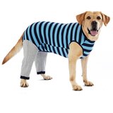 INF Oblačila za pse Corgi Teddy - Jesenska in zimska oblačila za male in velike pse Blue M, (5000078539) | Shoptok.si