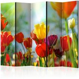 Artgeist PARAVAN 225/172/3 cm večbarvno | Shoptok.si