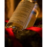 Broken Bones London Dry Gin 100/23 | Shoptok.si