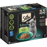 Sheba Kitten Varietäten vrečke za ohranjanje svežine 12 x 85 g - Fina raznolikost v omaki (losos; piščanec) Cene