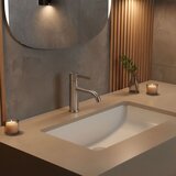 REA Bath Niska miješalica za umivaonik Rea Foster od četkanog nikla | shoptok.hr
