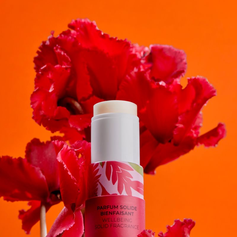 Roger & Gallet Gingembre Rouge Wellbeing Solid Fragrance trdi parfum za ženske 5 g | Shoptok.si