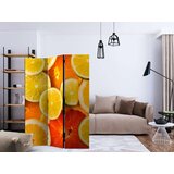  Paravan u 3 dijela - Citrus fruits [Room Dividers] 135x172 | shoptok.hr