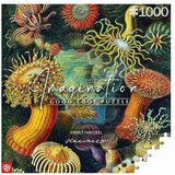 CENEGA PUBLISHING Imagination Puzzle: Ernst Haeckel Sea Creatures 1000 elements | shoptok.hr