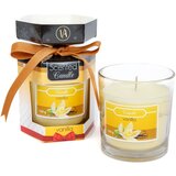 Vog und Arths Dišeča sveča z vonjem vanilije 120g v kozarcu | Shoptok.si