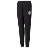 Puma Alpha Sweatpants FL Crna Cijene