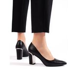 Shelvt Women's stiletto pumps black Cijene