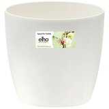 ELHO brussels Tegla za orhideju (Vanjska dimenzija (ø x V): 16 x 15 cm, Prozirno) Cijene