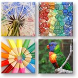  Slike na platnu colorful vibes 4-delni kolaž XOBKOL20E42 Cijene