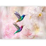  Foto tapeta - Colourful Hummingbirds (Pink) 490x350 Samoljepljiva | shoptok.hr