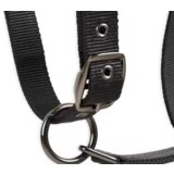 Olimp Sport Ular za jahanje od ovčije kože crni-bež | ePonuda.com