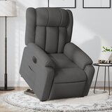  The Living Store Električni naslanjač s funkcijo vstajanja temno siv - Električni Naslanjač S Funkcijo Vstajanja, (21442952) | Shoptok.si