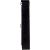 Bloomingville Črna stenska vitrina iz masivne jelke 50x80x14 cm Hazem – | Shoptok.si