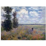 Fedkolor reprodukcija slike Claude Monet - Poppy Fields near Argenteuil, 40 x 30 cm Cijene