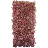 sintetična živa meja divy 3D x-tens red acer 1 m x 2 m rdeče-zelena