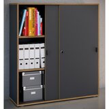 MID.YOU Arhivska Omara Salia B100, Antracit, Barva Hrasta | Shoptok.si