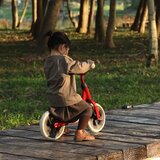 Qplay balanser Trainer Slike