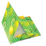  Mapa s klapnom i gumicom Fresh, A4 | shoptok.hr