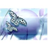  Tapeta - Planet of butterflies 400x270 | shoptok.hr